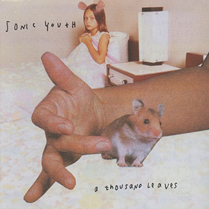 Sonic Youth — A Thousand Leaves