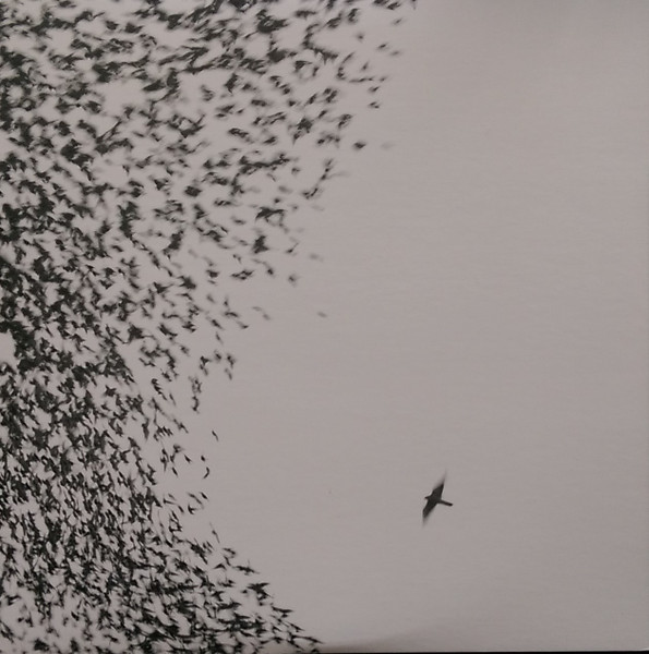 Wilco — Sky Blue Sky