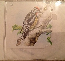 Circulatory System — Circulatory System